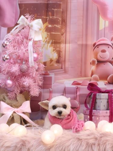 20241212じゅのんくん